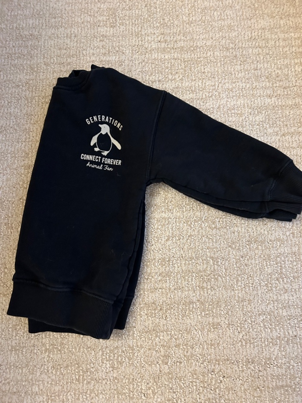 Zara toddler sweatshirt